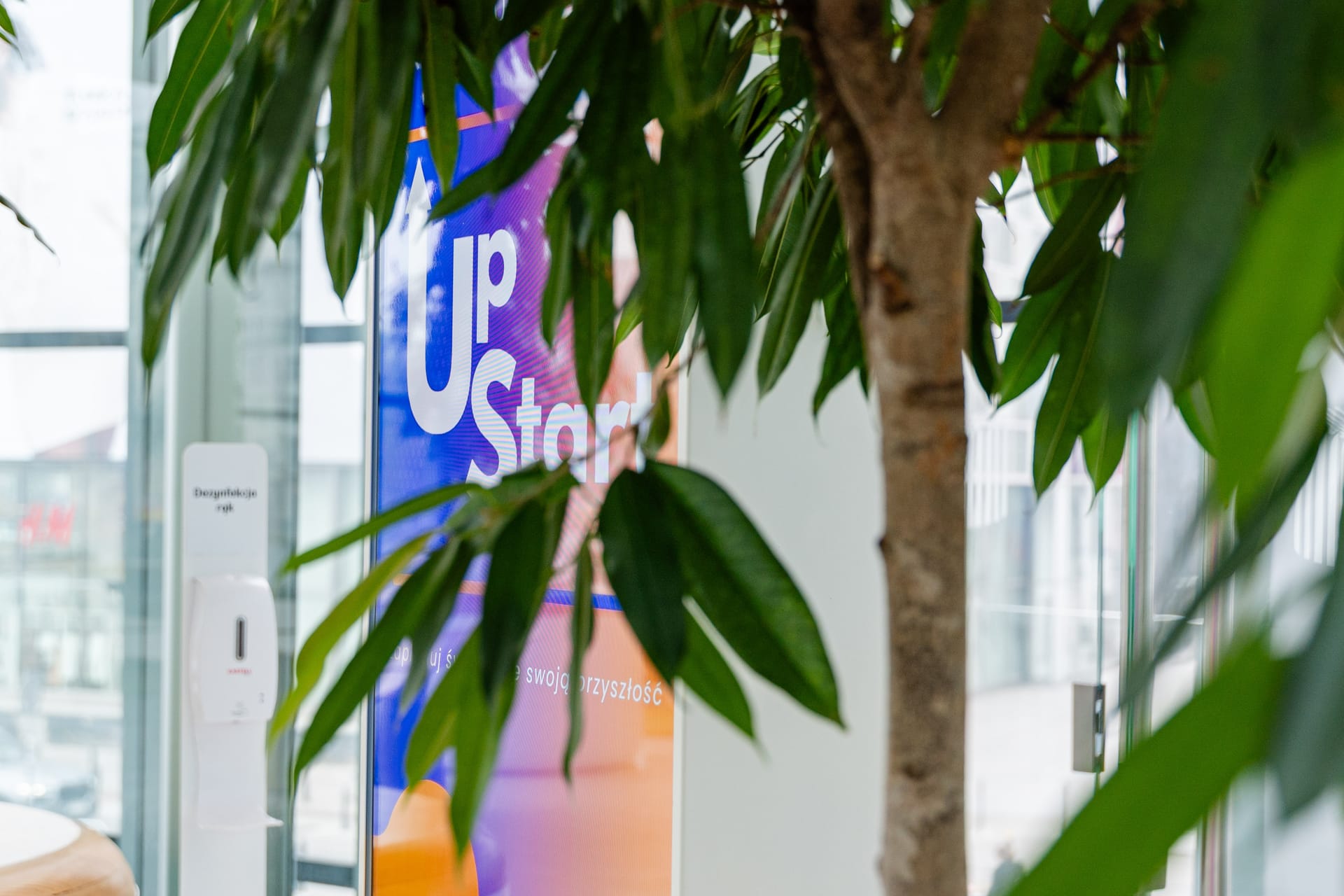 UP START-36.jpg